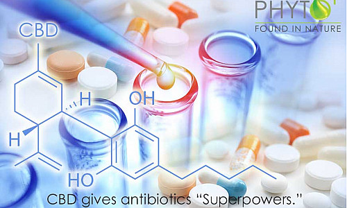 Geeft CBD antibiotica superkrachten?