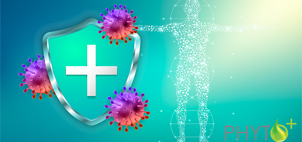 How does CBD affect the immune system and autoimmune diseases?