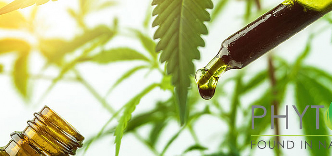 What is the effect of CBD?