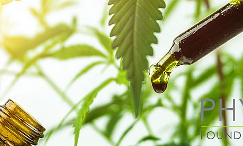 What is the effect of CBD Oil?