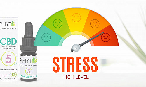 Hoe kan CBD olie helpen bij stress?  - Minder Stress en Meer Ontspanning