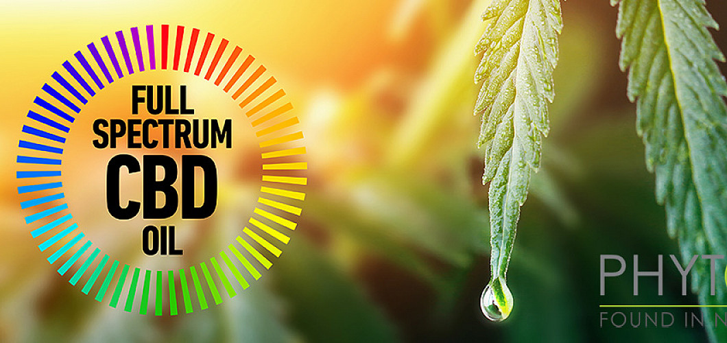 What is Full spectrum CBD oil?