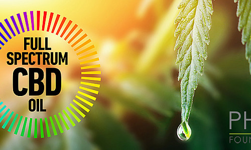 What is Full spectrum CBD oil?