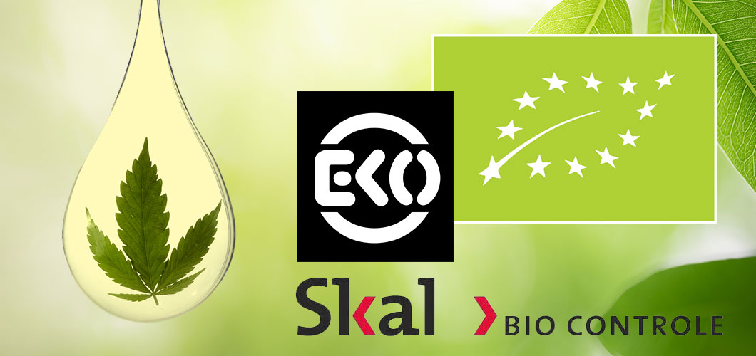 BIO CBD Öl ökologisch von Phyto Plus®