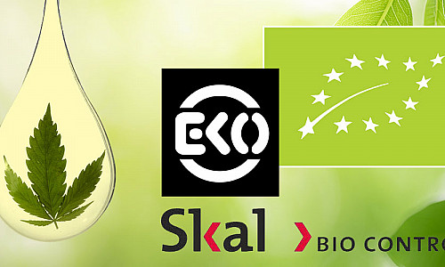 BIO CBD Öl ökologisch von Phyto Plus®