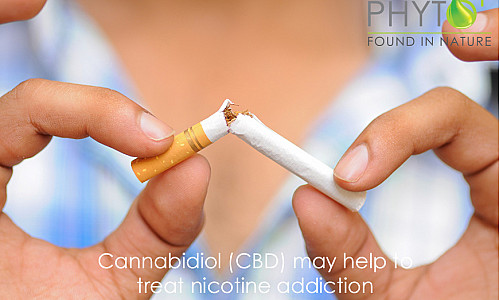 Can CBD Oil help with nicotine addiction?