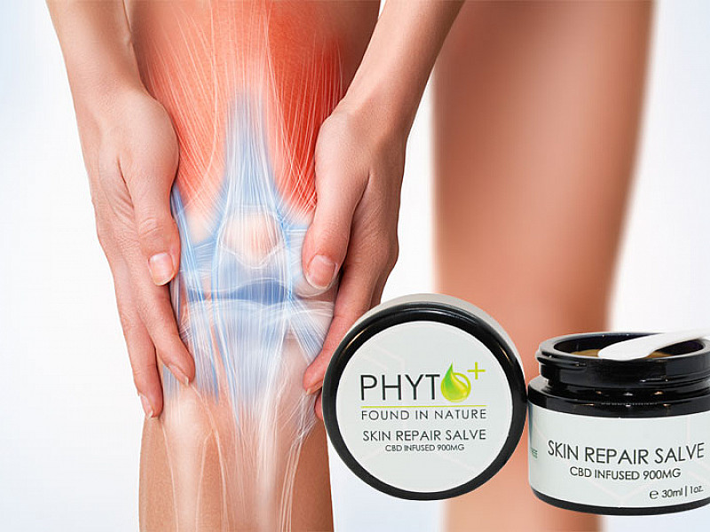 Phyto Plus® CBD Skin Repair Salve 900 mg pour le soulagement de la douleur des muscles et des articulations