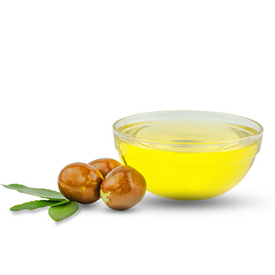 Jojoba seed oil ingredient of CBD Skin Repair Salve from Phyto Plus