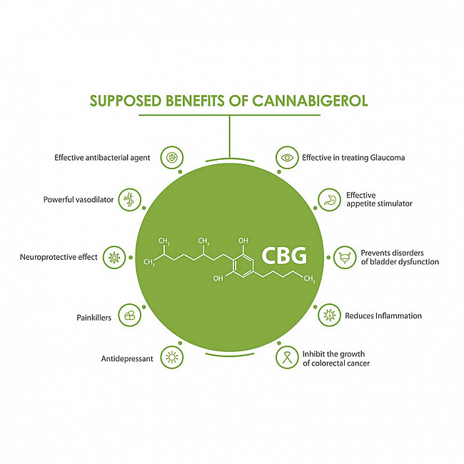 CBG Oil Drops 5% | 500mg 