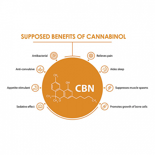 CBN Oil Drops 5% | 500mg