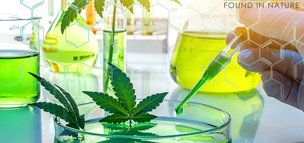 What are the effects of Cannabinoids?