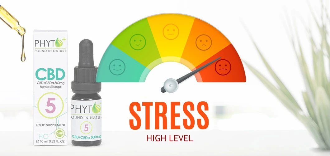 Comment l'huile de CBD peut-elle aider en cas de stress ? - Moins de stress et plus de détente Comment l'huile de CBD peut-elle aider en cas de stress ? - Moins de stress et plus de détente