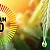 What is Full spectrum CBD oil?