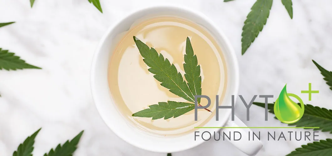 Ganze Cannabisblätter werden nun als traditionelle Lebensmittel betrachtet, keine Novel Food Ganze Cannabisblätter werden nun als traditionelle Lebensmittel betrachtet, keine Novel Food