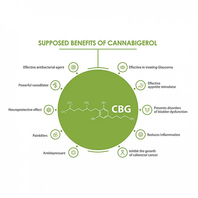 CBG Druppels 5% |  500mg