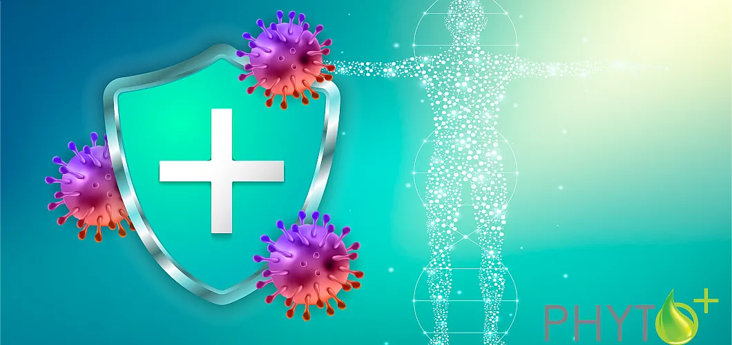 Comment le CBD affecte-t-il le système immunitaire et les maladies auto-immunes ? Comment le CBD affecte-t-il le système immunitaire et les maladies auto-immunes ?