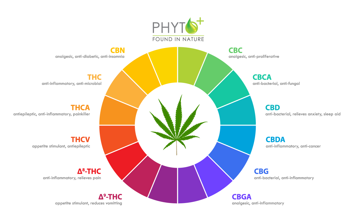 In this image, you can see the cannabinoids that occur in larger quantities in the hemp plant.