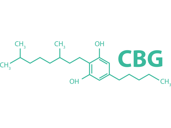 CBG Cannabigerol Molecuul