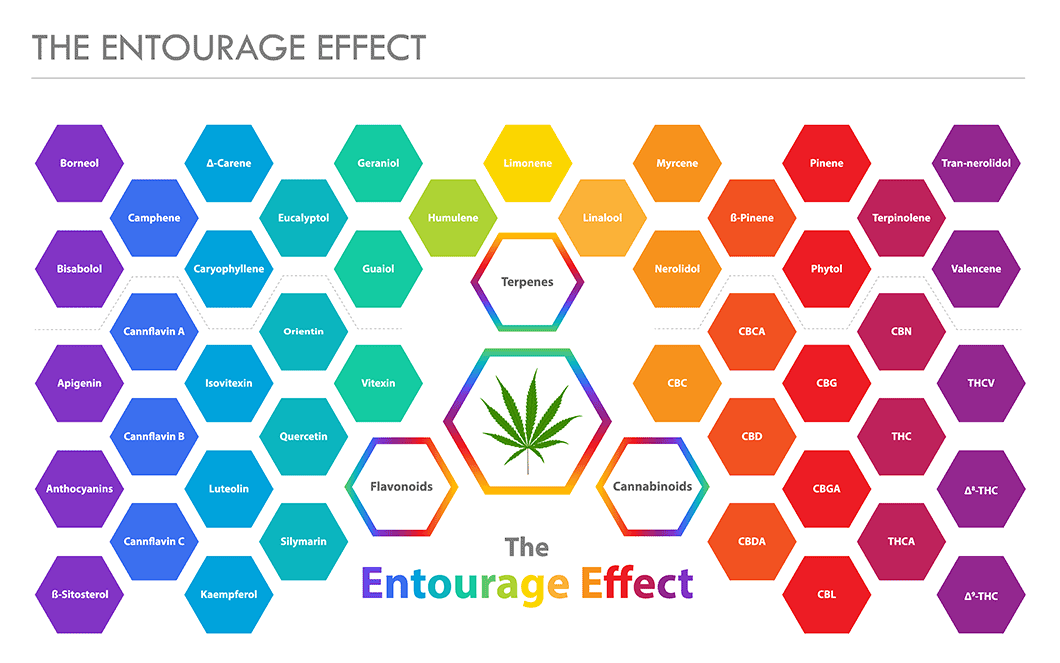 Op deze afbeelding kun je zien welke verbindingen nodig zijn voor het entourage effect.