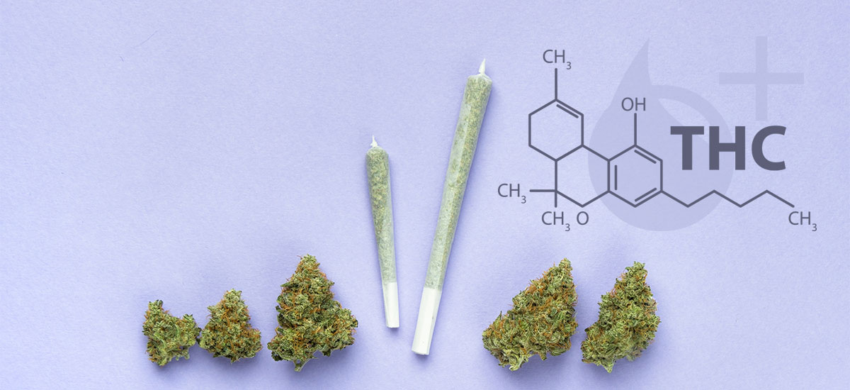 Marihuana-Blüten und Joints + THC-Molekül