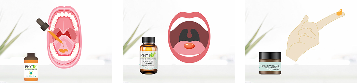 Möglichkeiten, Phyto Plus® CBD Öl einzunehmen.